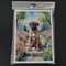 Edge Collections - 5" x 7" - Fun and Whimsical Greeting Cards Collection - 8 Pieces